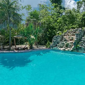 Jolie Jungle Eco - Ruta De Cenotes Hotel